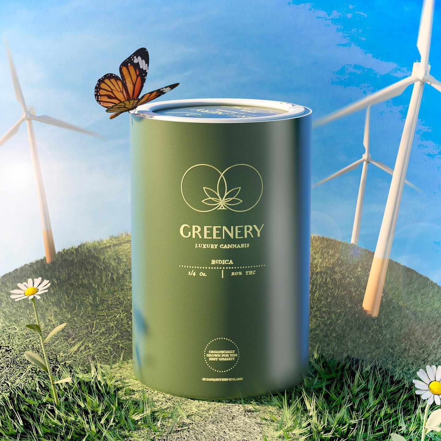 Special Biodegradable CBD Cans